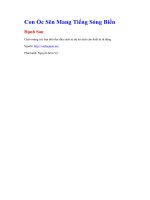 Con ốc sên mang tiếng sóng biển   hạnh san