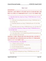 Hoàn thiện kế toán doanh thu, chi phí và xác định kết quả kinh doanh tại công ty tnhh kiểm toán và tư vấn thiên việt