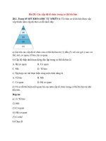 Giải sbt khoa học tự nhiên 6 – chân trời sáng tạo phần  (15)