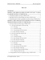 Hoàn thiện kế toán chi phí sản xuất và tính giá thành sản phẩm tại công ty tnhh trà mi