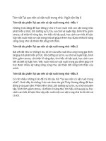 Tóm tắt tác phẩm ngữ văn lớp 6 – cánh diều bài  (24)