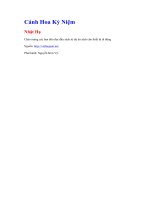 Cánh hoa kỷ niệm   nhật hạ