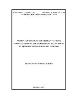 Nghiên cứu ứng dụng chỉ thị phân tử trong chọn tạo giống cà chua kháng bệnh xoăn vàng lá và mốc sương ở miền bắc việt nam