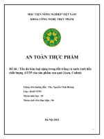 An toàn thực phẩm đề tài  tồn dư kim loại nặng trong đất trồng và nước tưới đến chất lượng attp của sản phẩm rau quả (asen, cadmi)