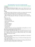 Soạn văn lớp 6 (hay nhất)   cánh diều bài  (66)