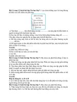 Giải sbt tin học 7 – chân trời sáng tạo bài  (4)