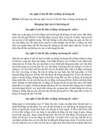 Văn mẫu lớp 6 – cánh diều bài  (25)