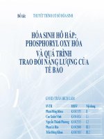 Tiểu luận - CƠ SỞ HÓA SINH - đề tài - HÓA SINH HÔ HẤP: PHOSPHORYL OXY HÓA  VÀ QUÁ TRÌNH TRAO ĐỔI NĂNG LƯỢNG CỦA TẾ BÀO