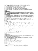 Giải sbt tin học 7 – chân trời sáng tạo bài  (10)