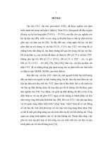 Luận án chế tạo và nghiên cứu các tính chất vật lý của hệ vật liệu xbzt   (1   x) bct pha tạp