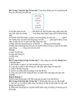 Giải sbt tin học 7 – chân trời sáng tạo bài  (2)