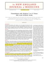 full text ECASS III 2008