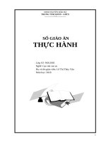 Giao an cao mu cao su thuc hanh 2022