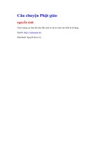 Câu chuyện phật giáo   nguyễn sinh