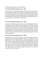 Tóm tắt tác phẩm ngữ văn lớp 6 – cánh diều bài  (26)