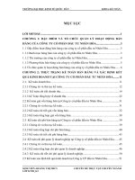 Hoàn thiện kế toán bán hàng và xác định kết quả bán hàng tại công ty cổ phần đầu tư nhân hòa