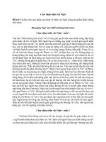 Văn mẫu lớp 6 – cánh diều bài  (21)