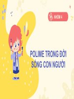 Polime Trong Đời Sống Con Người.pdf
