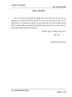 Hoàn thiện kế toán mua, bán hàng hóa tại công ty cổ phần đầu tư và thương mại prenn