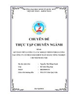 Kế toán tiền lương và các khoản trích theo lương tại công ty cổ phần bảo hiểm ngân hàng nông nghiệp   chi nhánh hà nội