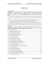 Hoàn thiện kế toán bán hàng tại công ty trách nhiệm hữu hạn nội thất hoàng duy