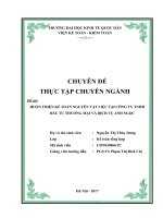 Hoàn thiện kế toán nguyên vật liệu tại công ty tnhh đầu tư thương mại và dịch vụ anh ngọc