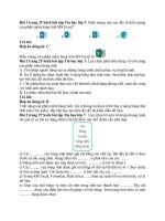 Giải sbt tin học 7 – chân trời sáng tạo bài  (7)