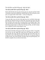 Tóm tắt tác phẩm ngữ văn lớp 6 – cánh diều bài  (19)