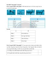 Giải sbt công nghệ 7 – chân trời sáng tạo bài  (9)