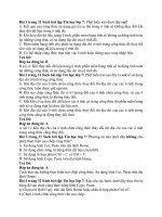 Giải sbt tin học 7 – chân trời sáng tạo bài  (9)