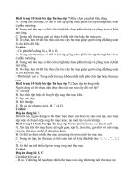 Giải sbt tin học 7 – chân trời sáng tạo bài  (3)