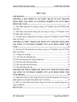 Kế toán lưu chuyển hàng hóa và xác định kết quả tiêu thụ hàng hóa của công ty cổ phần nghiên cứu và phát triển phần mềm việt nam   rdsoft