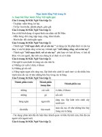 Soạn văn lớp 6 (hay nhất)   cánh diều bài  (48)