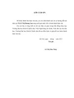 Nâng cao chất lượng thẩm định tài chính dự án trong hoạt động cho vay tại ngân hàng tmcp đầu tư và phát triển việt nam chi nhánh bắc hà nội