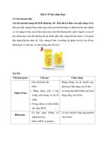 Giải sgk sinh học 10 – kết nối tri thức bài  (8)