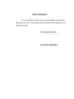 Phát triển khách hàng sử dụng thẻ tín dụng của ngân hàng tmcp ngoại thương việt nam (vietcombank)