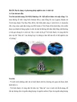 Giải sgk sinh học 10 – kết nối tri thức bài  (21)