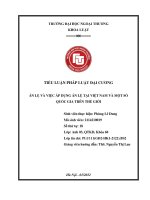 Tiểu luận pháp luật đại cương án lệ và việc áp dụng án lệ tại việt nam và một số quốc gia trên thế giới