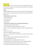 Chuyên đề lịch sử 10    kết nối tri thức bài   (2)