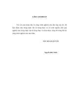 Giải pháp phát triển khách hàng doanh nghiệp tại ngân hàng tmcp vpbank chi nhánh đông đô