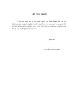 Hạn chế rủi ro cho vay tiêu dùng thế chấp bất động sản tại ngân hàng thương mại cổ phần kỹ thương việt nam