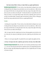 Giải sgk lịch sử 10 – kết nối tri thức bài  (4)