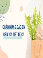 Thuvienhoclieu com ga powerpoint toan 7 kntt bai luyen tap chung trang 92 (1)