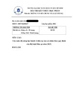 Tiểu luận những vấn đề chung về luật dân sự