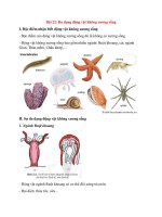 Lý thuyết khoa học tự nhiên 6 – cánh diều bài  (22)