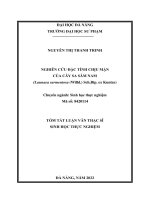 Nghiên cứu đặc tính chịu mặn của cây sa sâm nam (launaea sarmentosa (willd ) sch bip  ex kuntze) 1