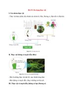 Lý thuyết khoa học tự nhiên 6 – cánh diều bài  (19)