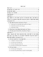 Hoàn thiện kế toán doanh thu, chi phí và xác định kết quả tại công ty cổ phần thương mại du lịch và hội trợ triển lãm quốc tế