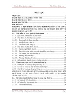 Hoàn thiện kế toán bán hàng và xác định kết quả kinh doanh tại công ty cổ phần đầu tư và phát triển vạn xuân