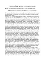 Văn mẫu lớp 10 – kết nối tri thức mẫu  (28)